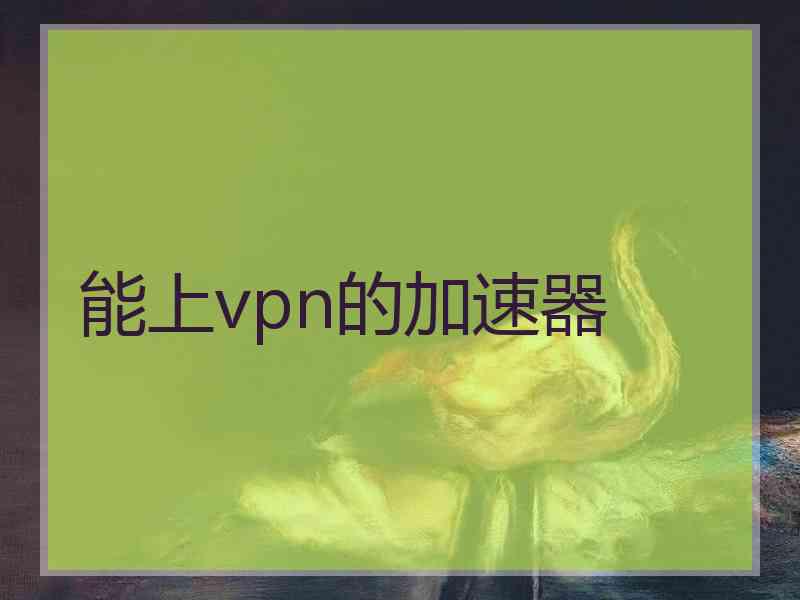能上vpn的加速器