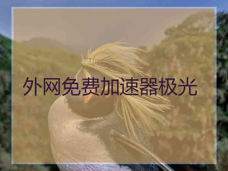 外网免费加速器极光