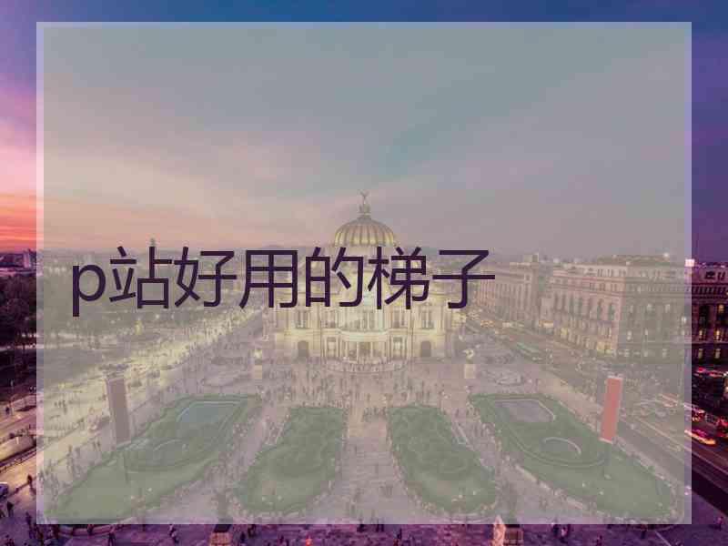 p站好用的梯子