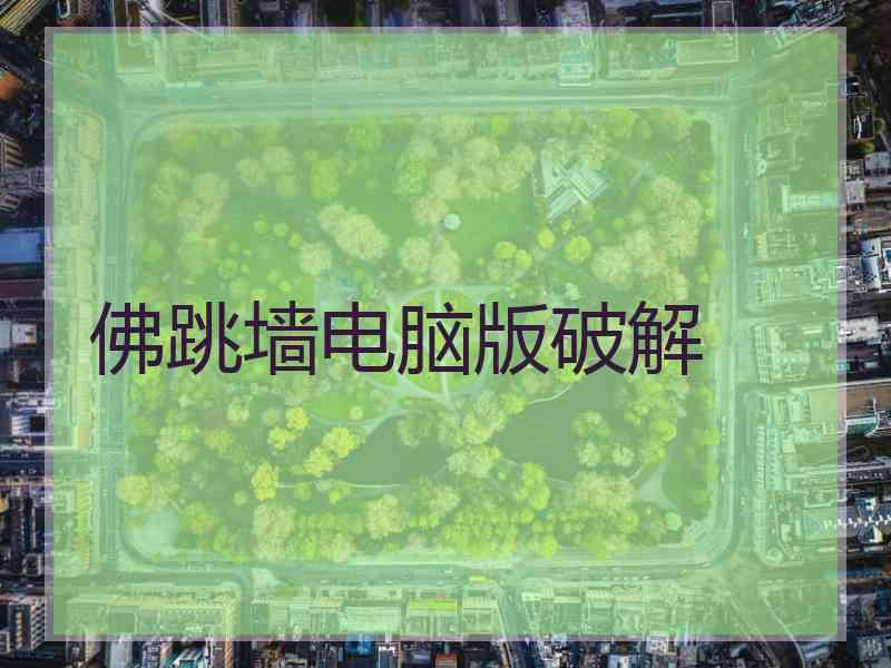 佛跳墙电脑版破解