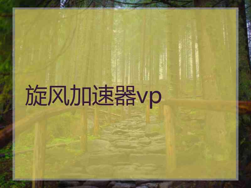 旋风加速器vp