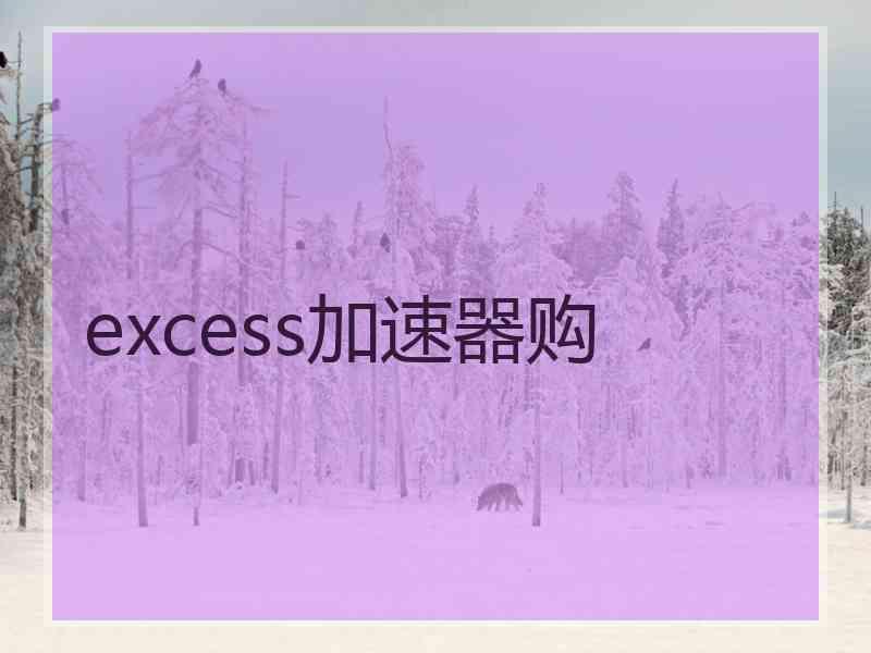 excess加速器购