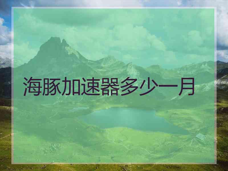 海豚加速器多少一月