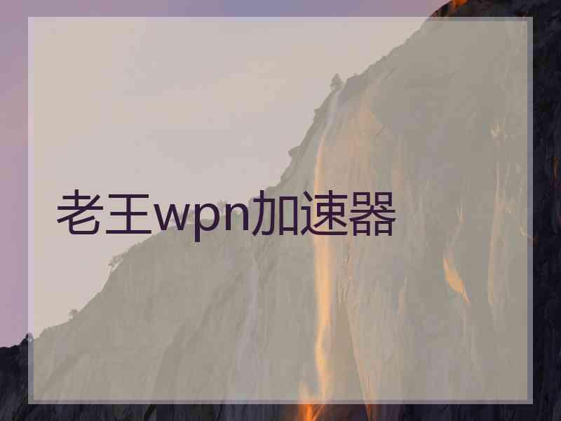 老王wpn加速器
