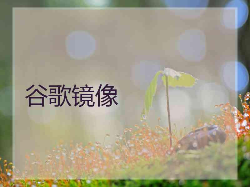 谷歌镜像