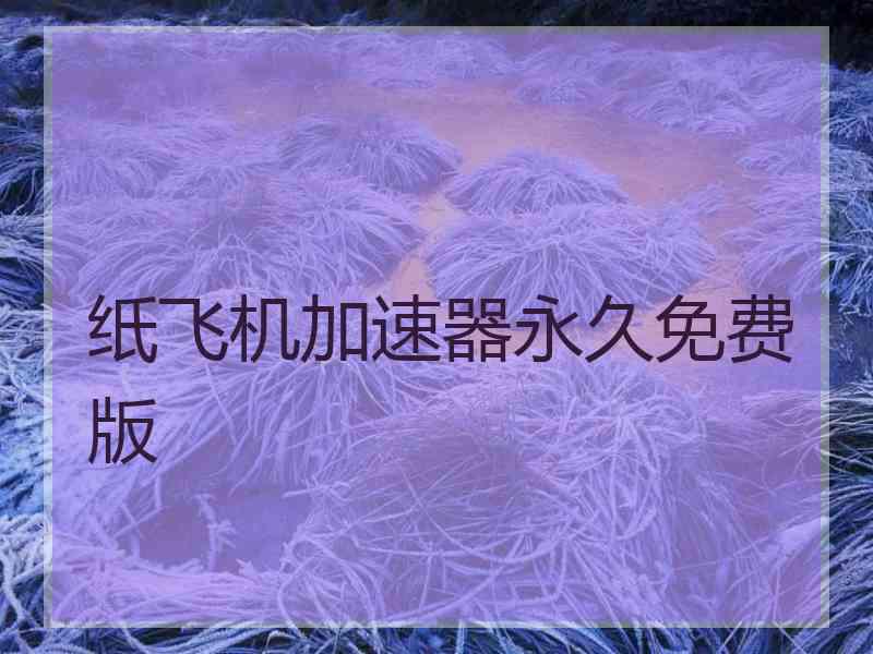 纸飞机加速器永久免费版