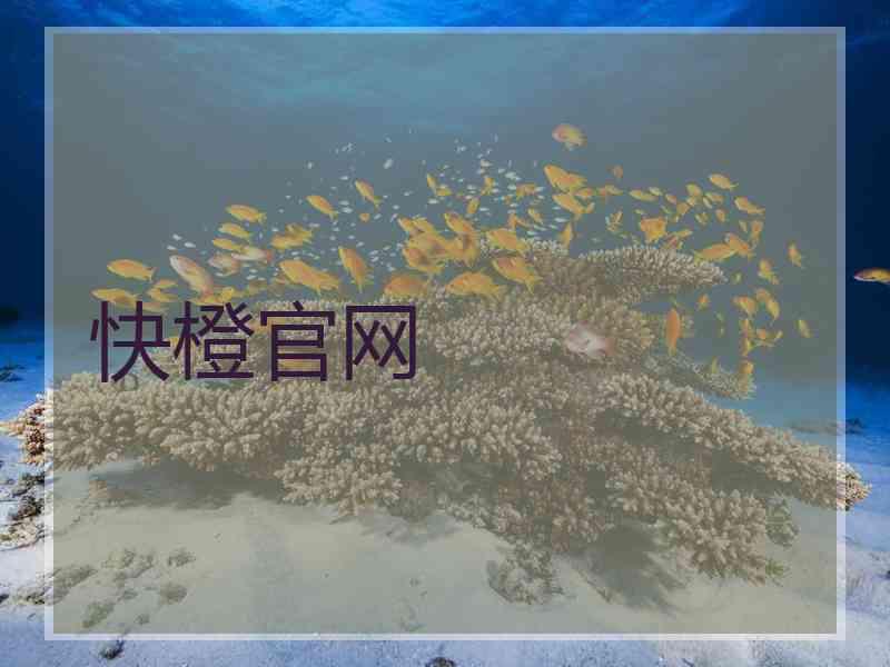 快橙官网