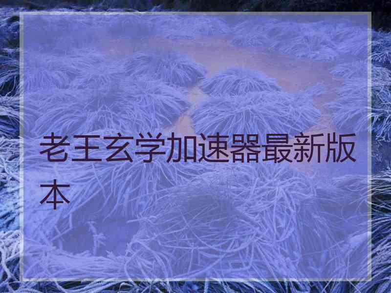 老王玄学加速器最新版本