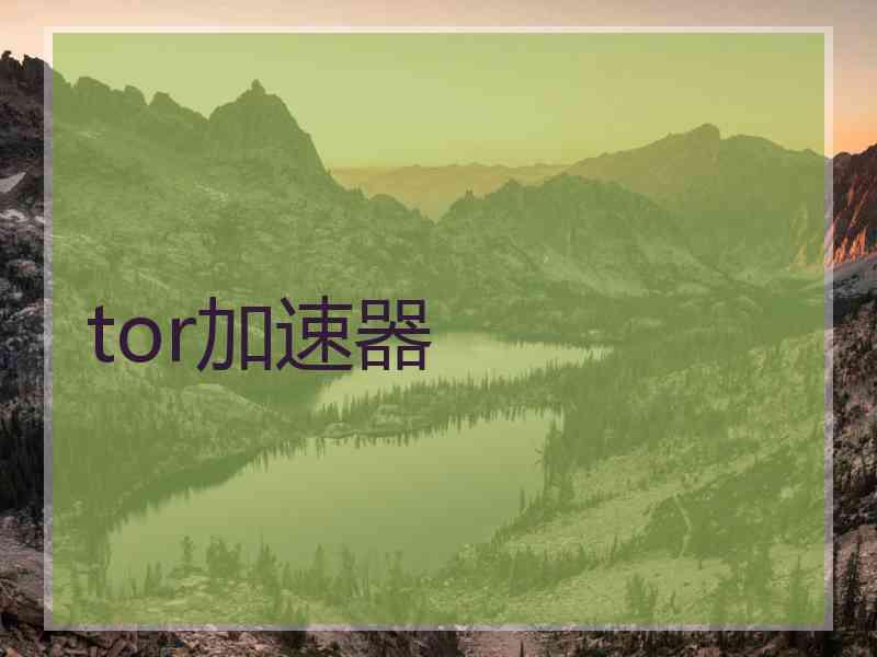 tor加速器