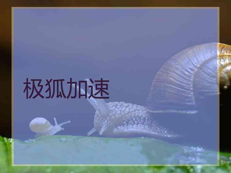极狐加速