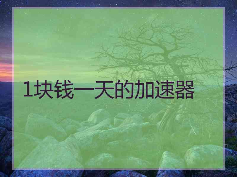 1块钱一天的加速器
