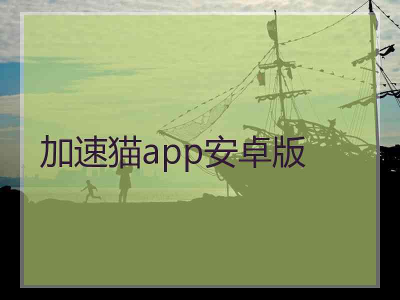 加速猫app安卓版