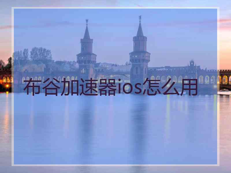 布谷加速器ios怎么用