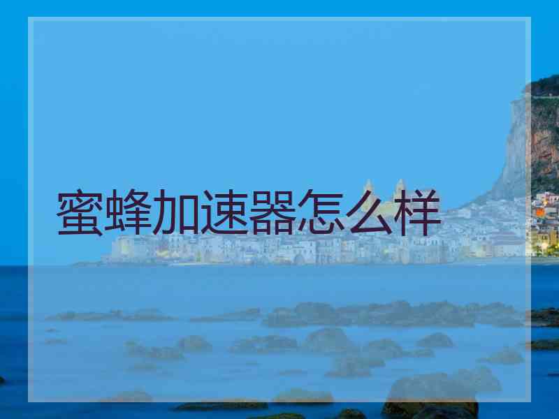 蜜蜂加速器怎么样