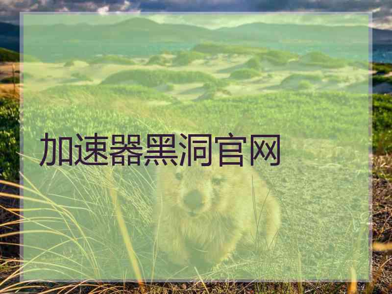 加速器黑洞官网