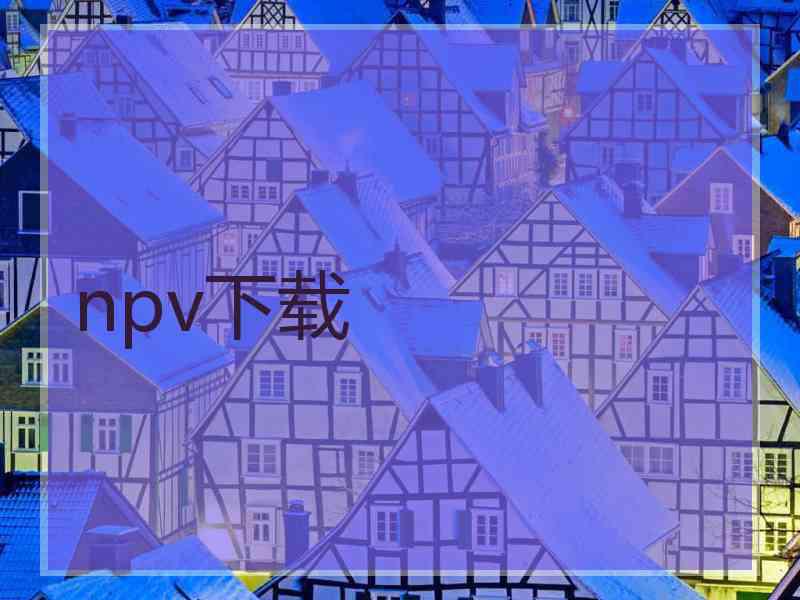 npv下载