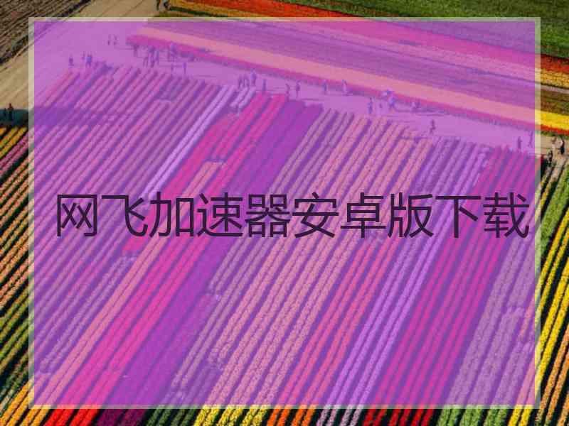 网飞加速器安卓版下载