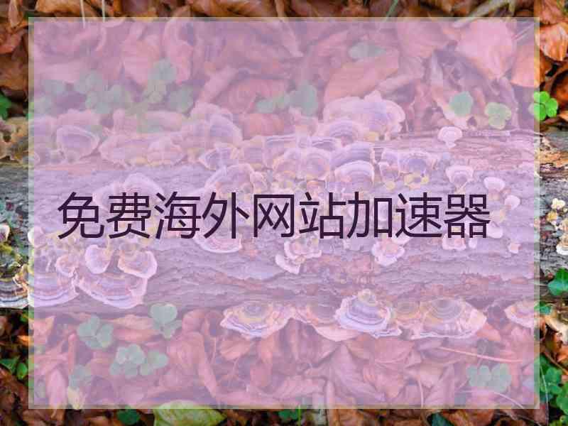 免费海外网站加速器