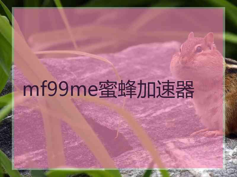 mf99me蜜蜂加速器