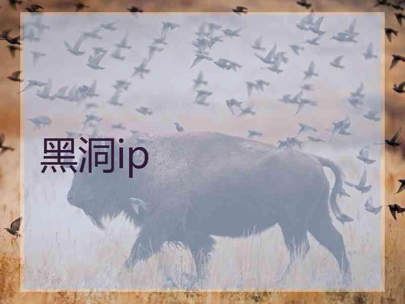 黑洞ip