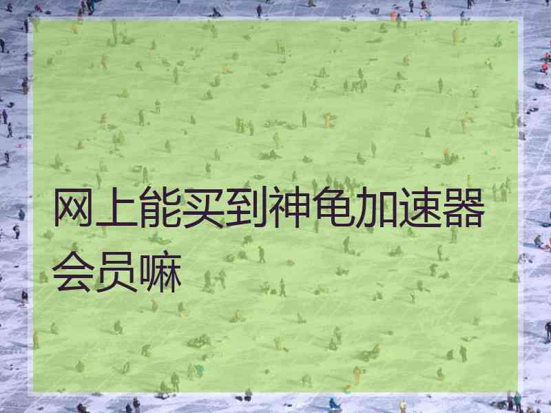 网上能买到神龟加速器会员嘛
