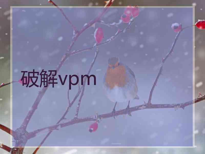 破解vpm