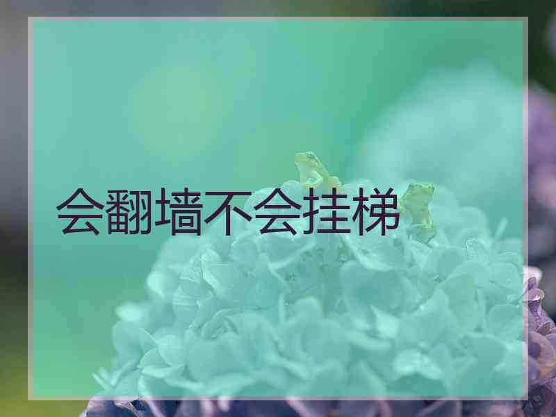 会翻墙不会挂梯