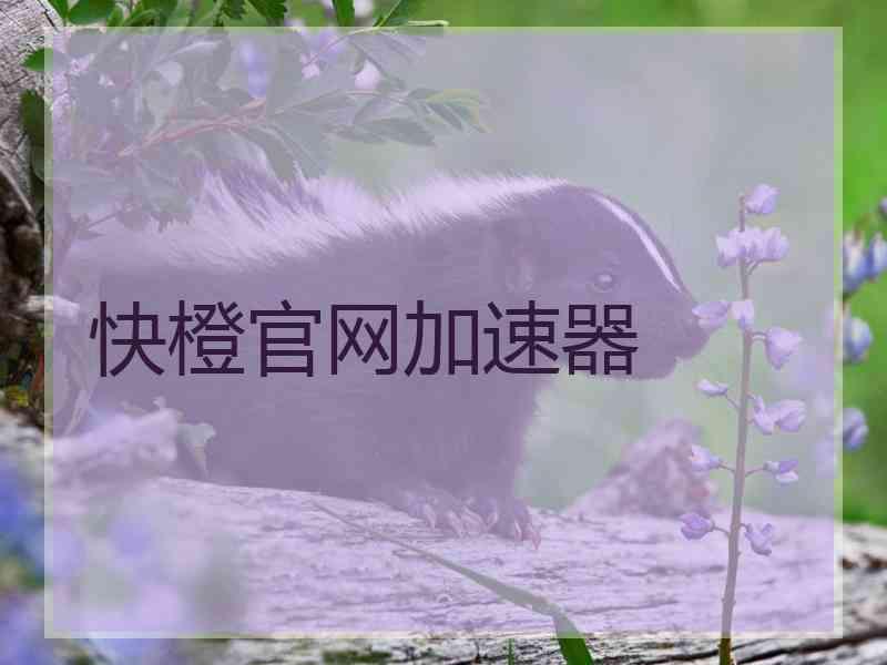 快橙官网加速器
