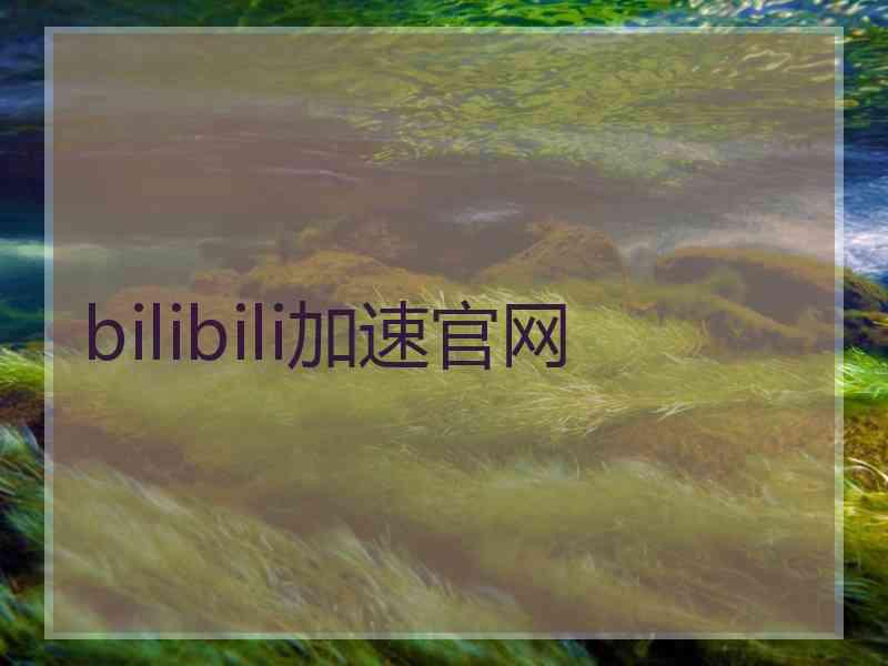 bilibili加速官网