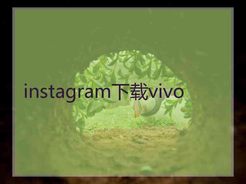instagram下载vivo