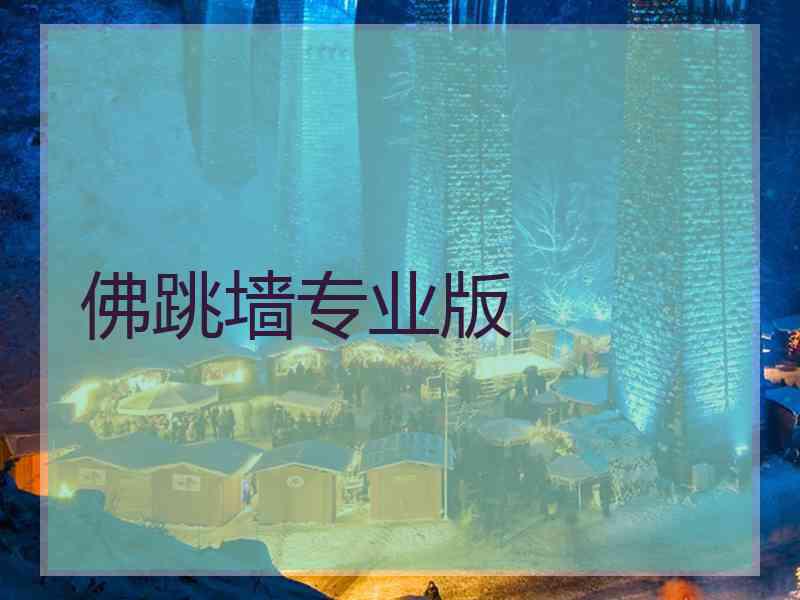 佛跳墙专业版