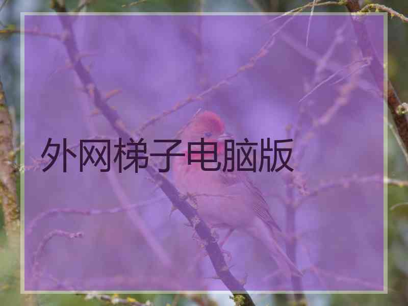 外网梯子电脑版