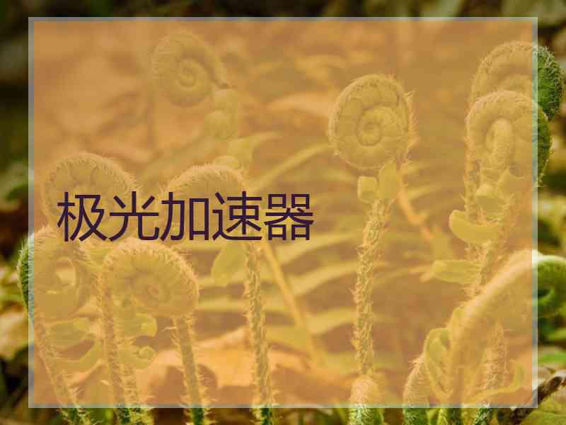 极光加速器