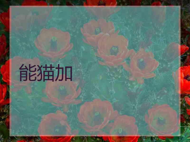 能猫加