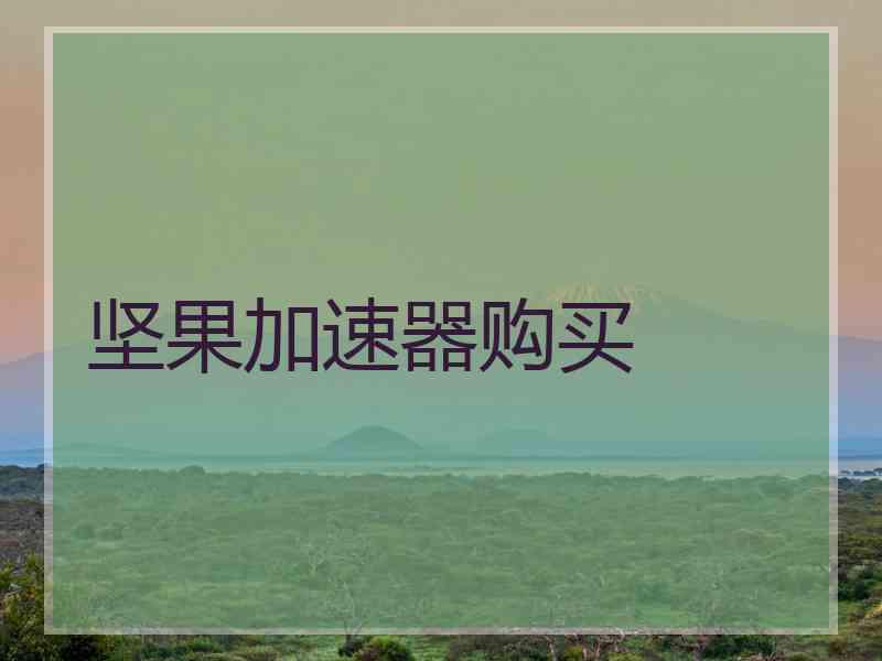 坚果加速器购买