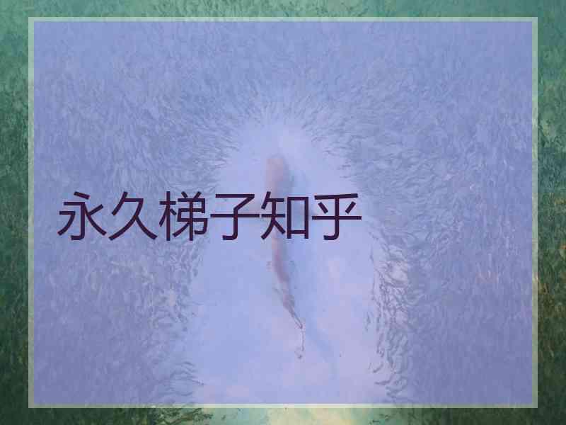 永久梯子知乎