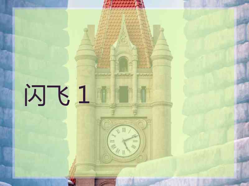 闪飞 1