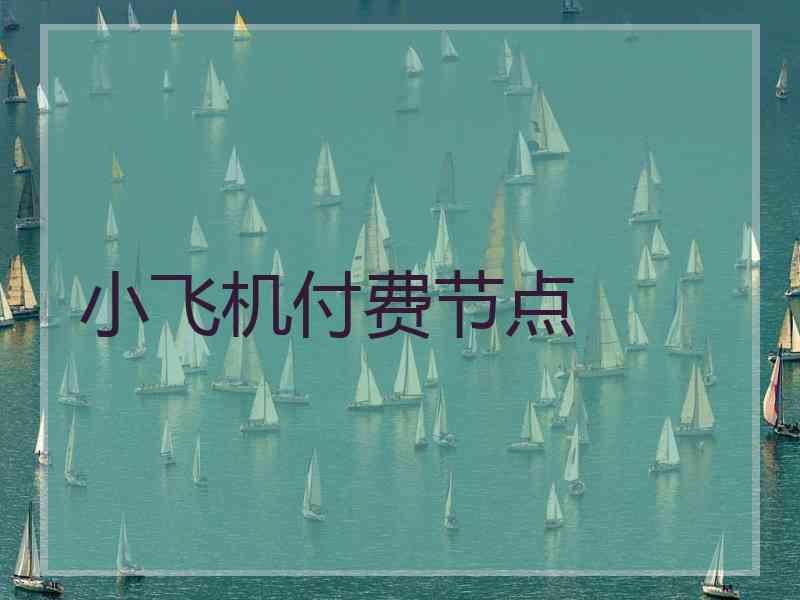 小飞机付费节点