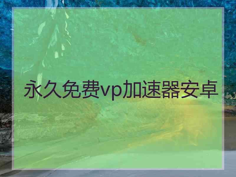 永久免费vp加速器安卓