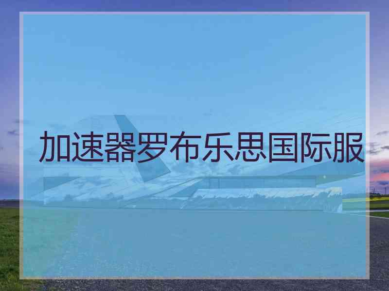加速器罗布乐思国际服