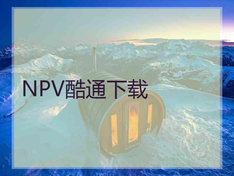 NPV酷通下载