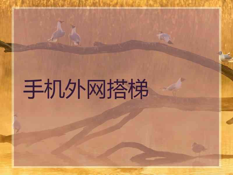 手机外网搭梯