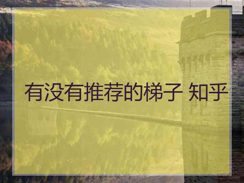 有没有推荐的梯子 知乎