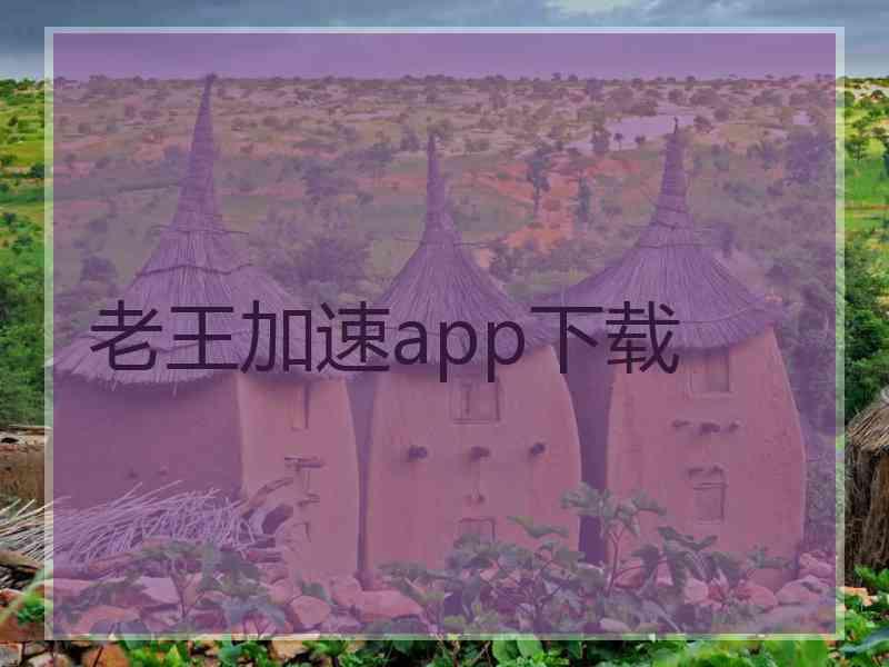 老王加速app下载