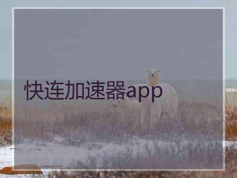 快连加速器app