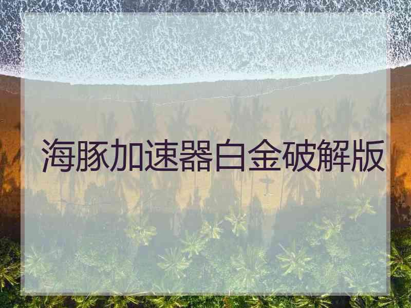 海豚加速器白金破解版