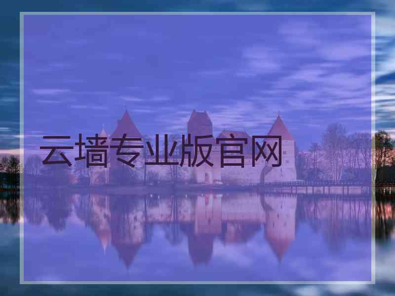 云墙专业版官网