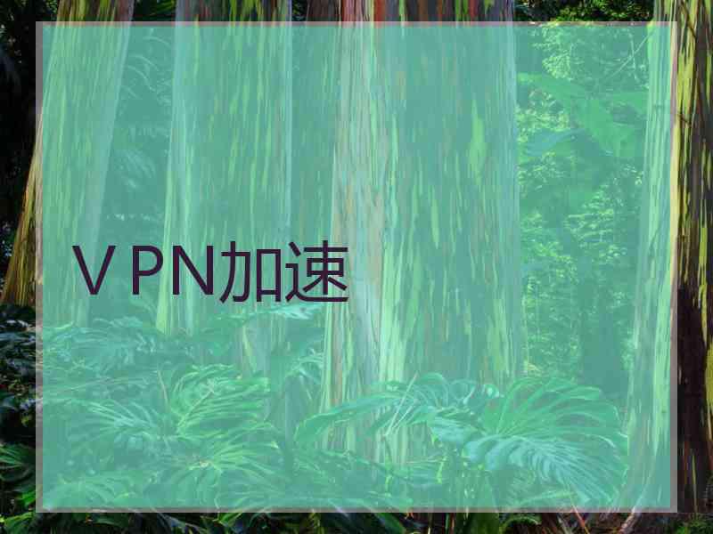 ⅤPN加速