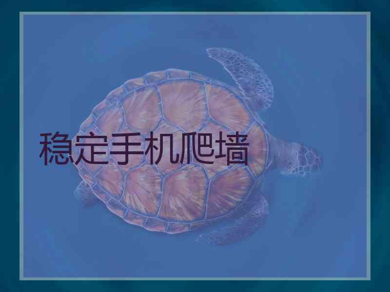 稳定手机爬墙