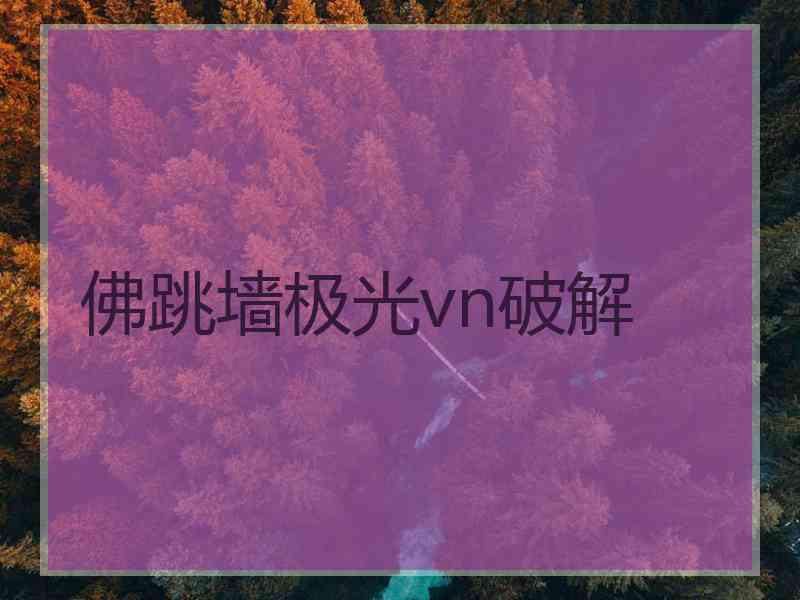 佛跳墙极光vn破解